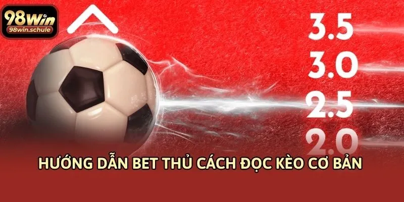 Hướng dẫn bet thủ cách đọc kèo cơ bản